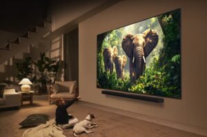 LG 65″ LG QNED evo AI TV view 3